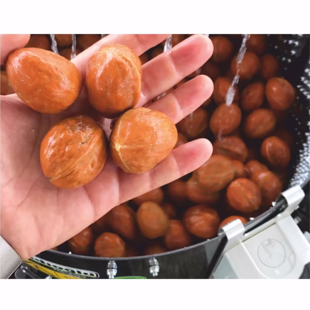 Машина за белене на орехи CKS 40 тип ренде